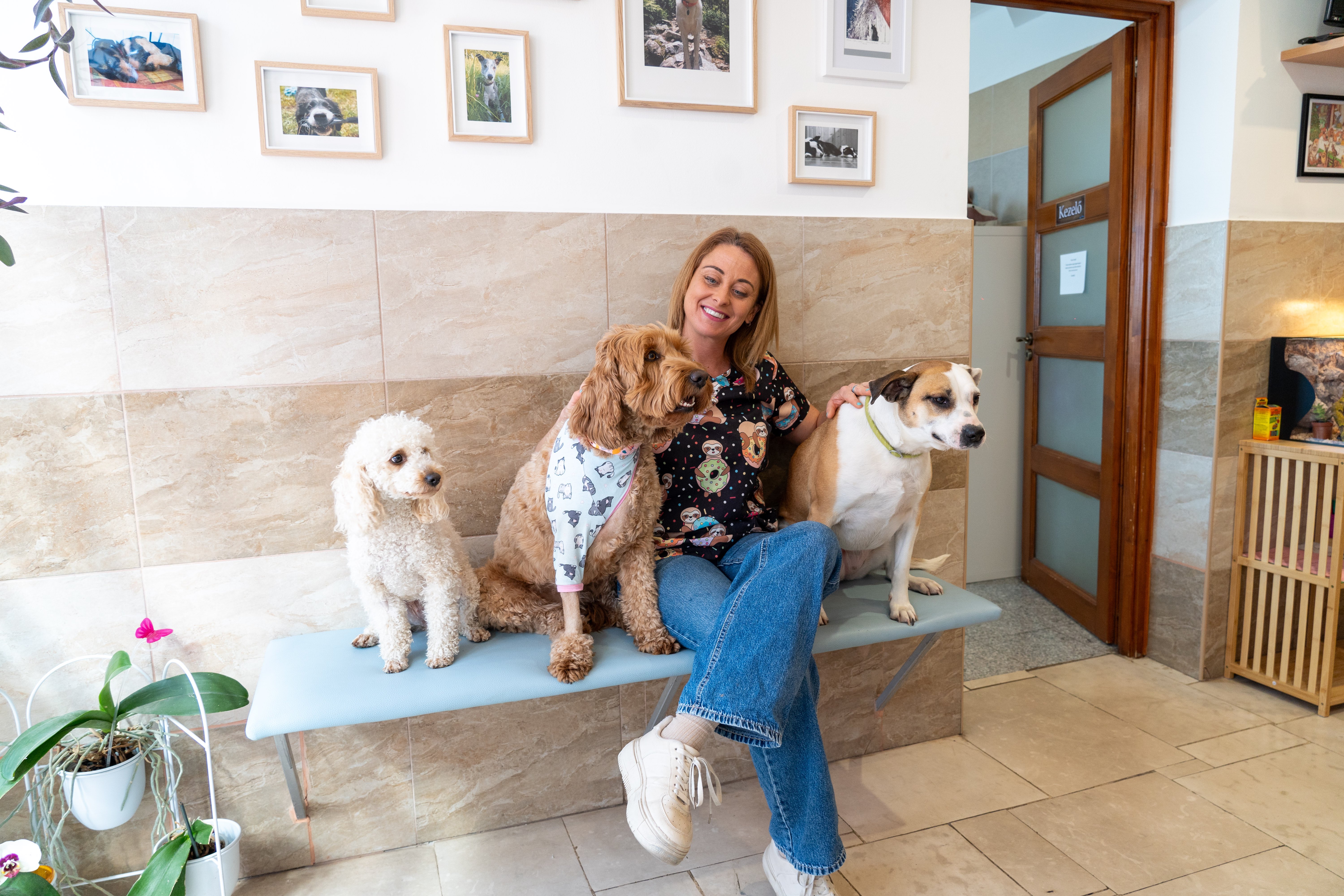 Lutra Állatorvosi Rendelő - Barátságos környezet kedvencekkel